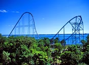 millennium_force